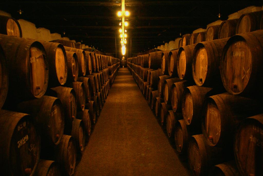 as vinícolas de vinhos são escuras pois a luz pode aquecer a bebida e alterar seus aromas e sabores