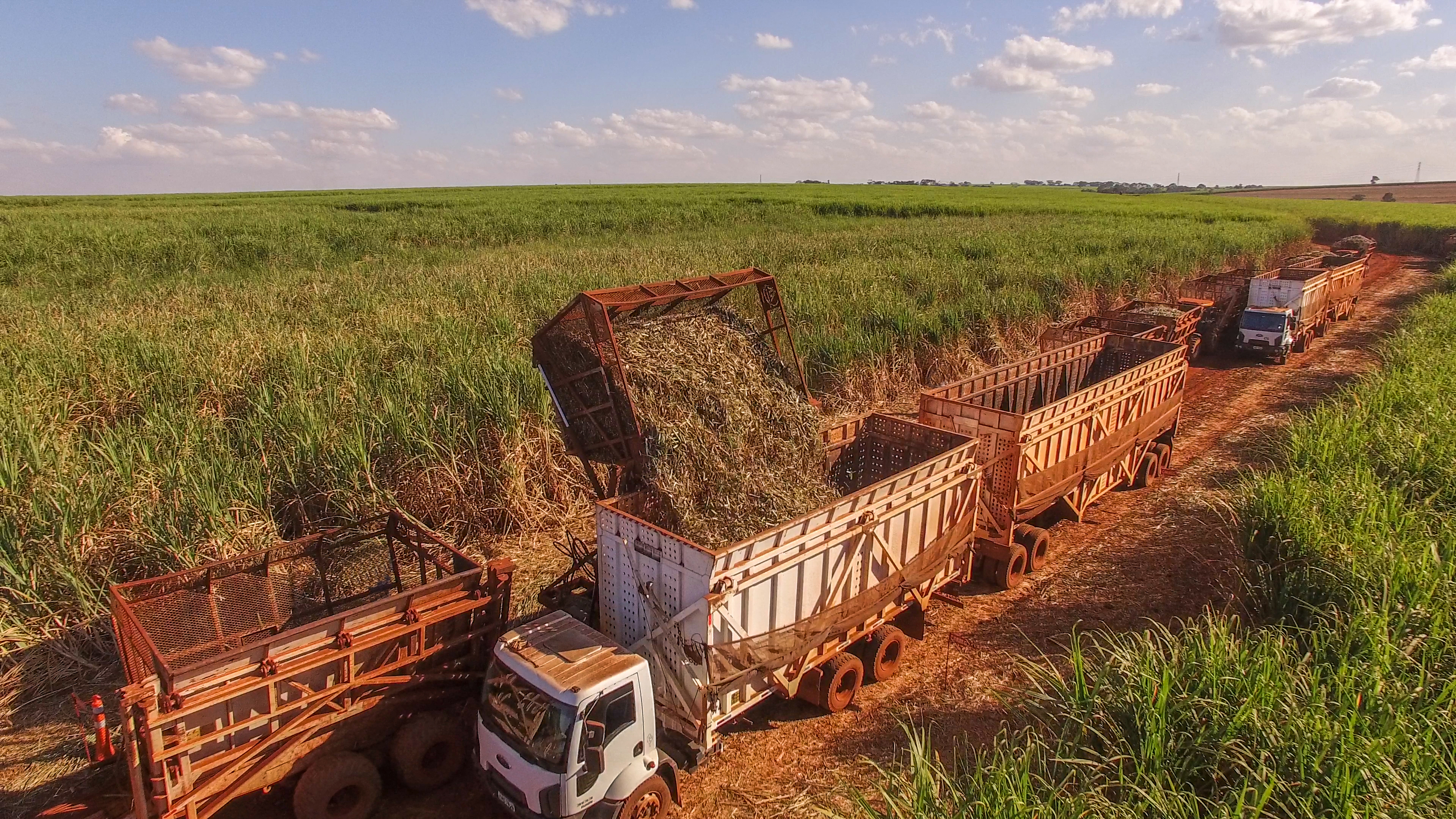 Usina Jalles Machado promove leilão de máquinas agrícolas e caminhões em Goiás