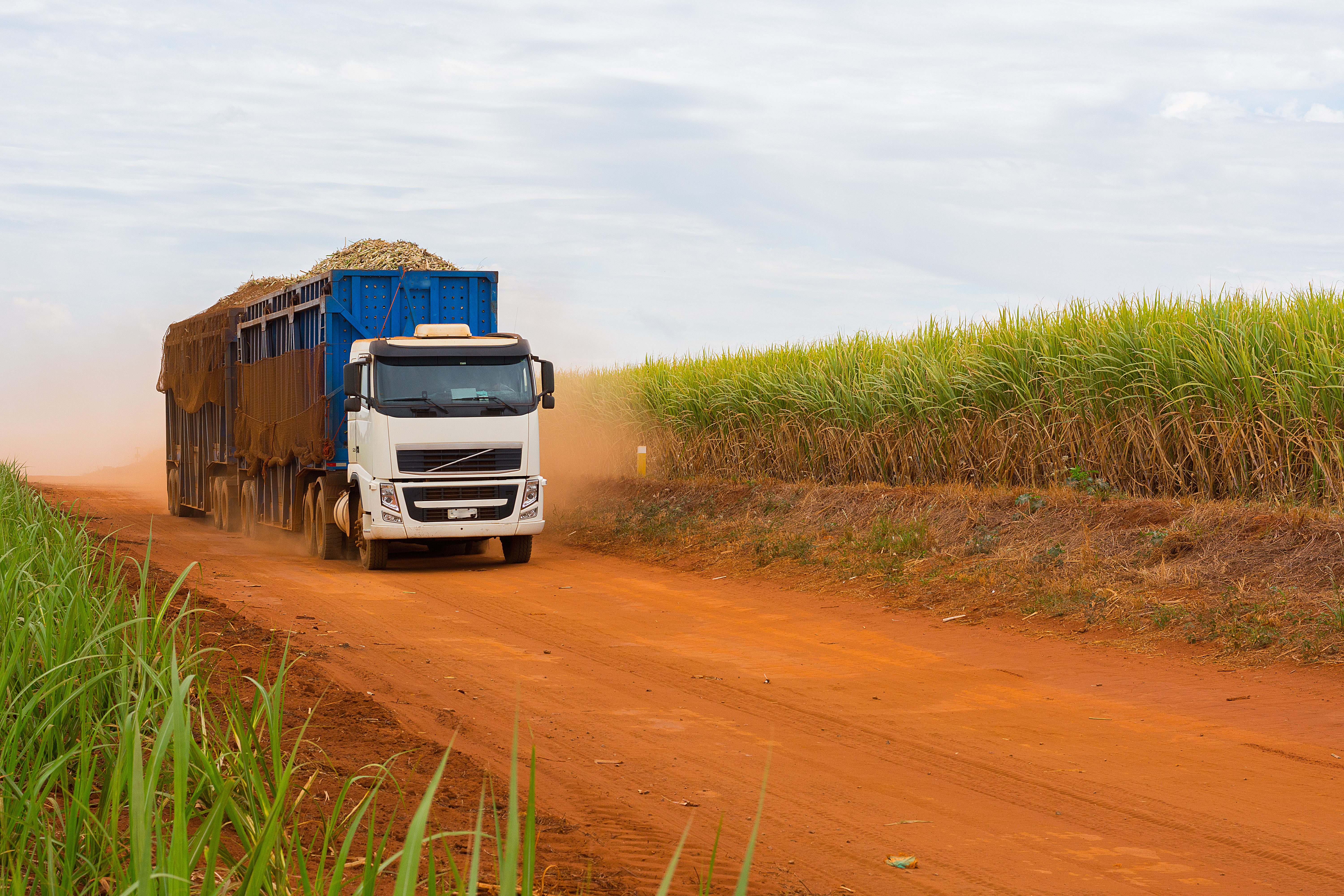Ipiranga Agroindustrial leiloa caminhões e bens agrícolas com até 80% de desconto
