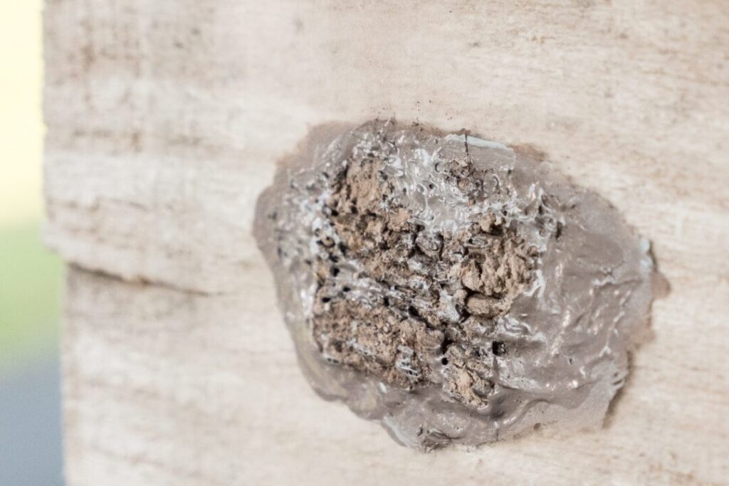 Cuidados para manter os paletes de madeira em bom estado: pallet danificado