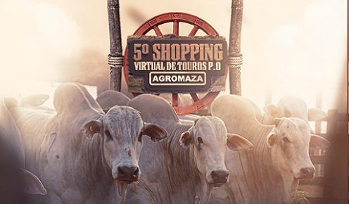 Fazenda Agromaza realiza 5º Shopping Virtual de Touros