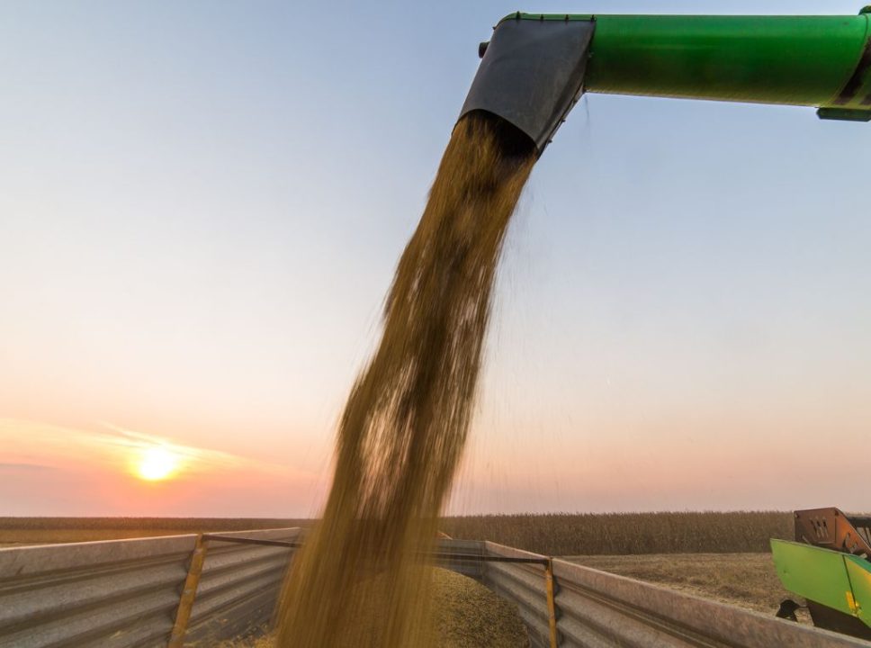 Conheça o top 3 países maiores produtores de soja do mundo