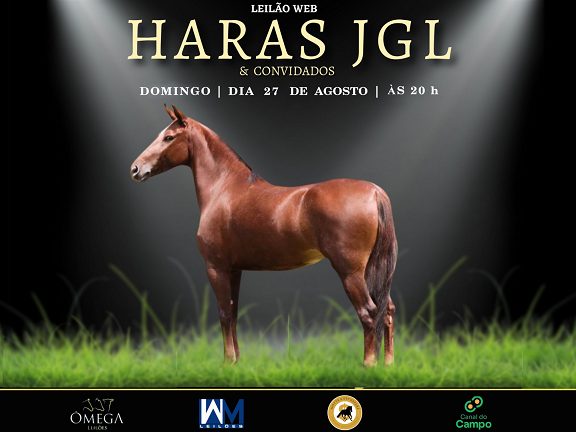 Leilão Web Haras JGL & Convidados oferta 37 cavalos manga-larga marchador
