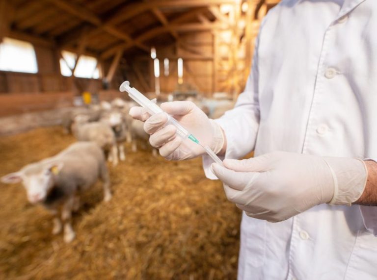 A importância da genômica na seleção de animais para a produção pecuária